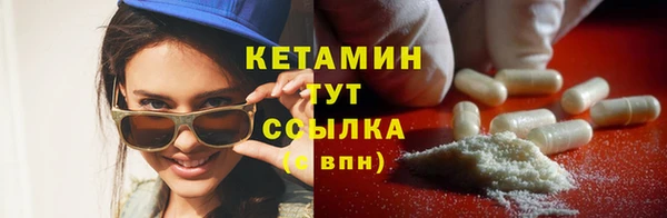 прущие грибы Аркадак