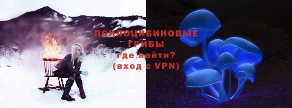 стаф Армянск