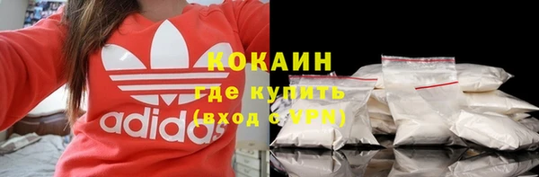 прущие грибы Аркадак