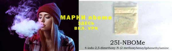 прущие грибы Аркадак