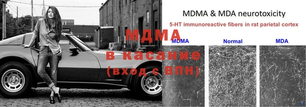 стаф Армянск