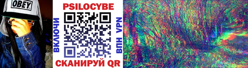 мориарти Telegram  Жуков  Псилоцибиновые грибы Psilocybine cubensis 